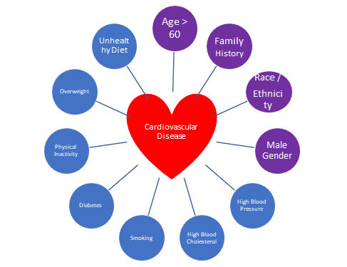 Risk Factors Contributing to Cardiovascular Disease